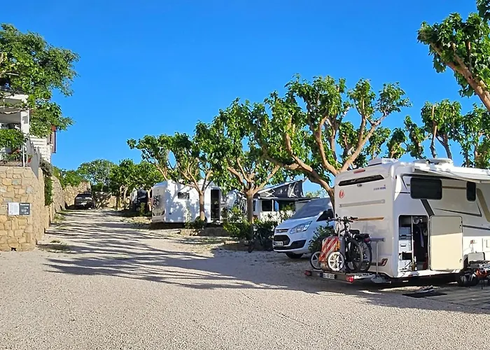 Odmoree Camp&hostel Hostel