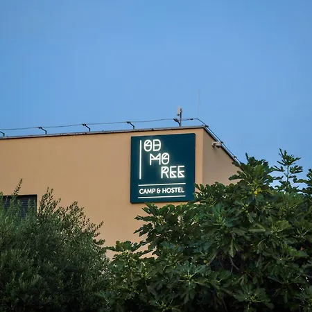Hostel Odmoree Camp & Hostel