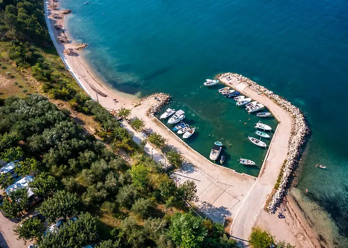 Хостел Odmoree Camp & *