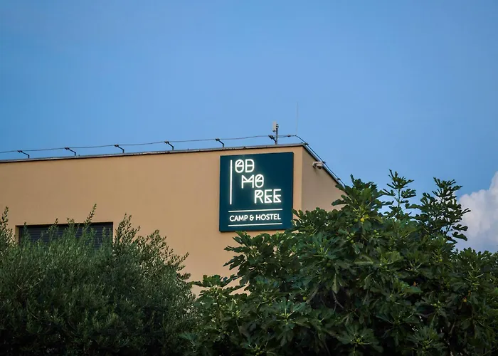 Хостел Odmoree Camp &
